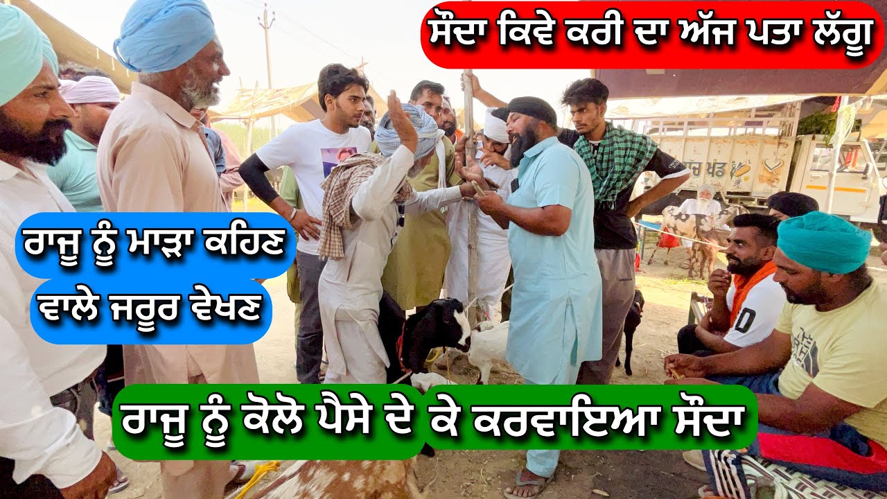 ਰਾਜੂ ਨੂੰ ਮਾੜਾ ਕਹਿਣ ਵਾਲੇ ਜਰੂਰ ਵੇਖਣ ਕੋਲੋ ਪੈਸੇ ਪਾ ਕੇ ਕੀਤਾ ਸੌਦਾ ਮੰਡੀ ਤੁੰਗਵਾਲੀ #tungwalibakramandi #raju