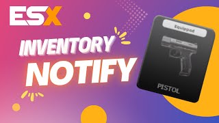 [FiveM][ESX] Script Inventory Notify