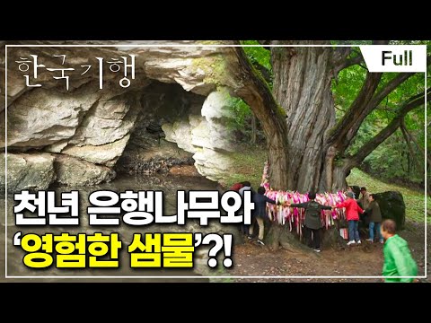 [Full] 한국기행 - 스님, 계십니까 5부 두 스님과 천년나무