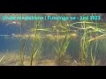 Undervandsdrone i Fussing sø - juni 2022