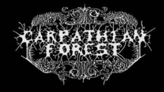 Carpathian Forest - Bloody fucking nekro hell