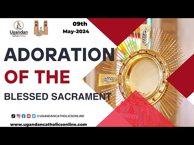Adoration of the Blessed Sacrament |  09th- May -2023 class=