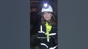 A look inside the world