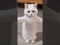 😁😁😁😆