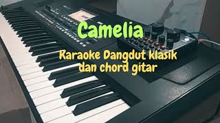 Celebrity Camelia _ Karaoke dangfut klasik & Chord gitar #dangdutklasik #liriklagu #korg Profile