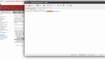 Webgoat: Web Services [Web Service SAX Injection]