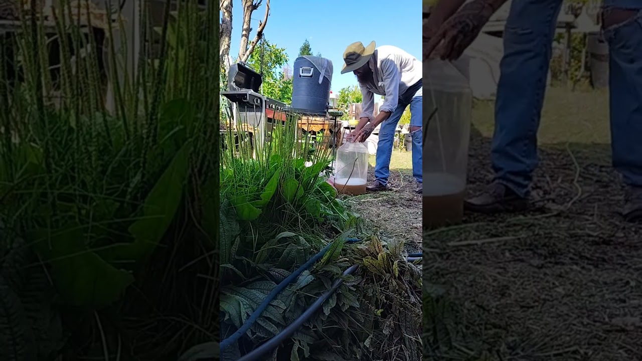 Russian All Grain Beer Wort Pour 