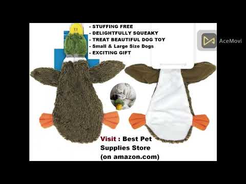 Best Pet Supplies Store | Stuffless Squeaky Dog Toys | Amazon