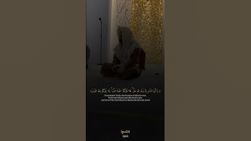 "أروع تلاوات الشيخ هيثم الدخين – جودة عالية" 💛