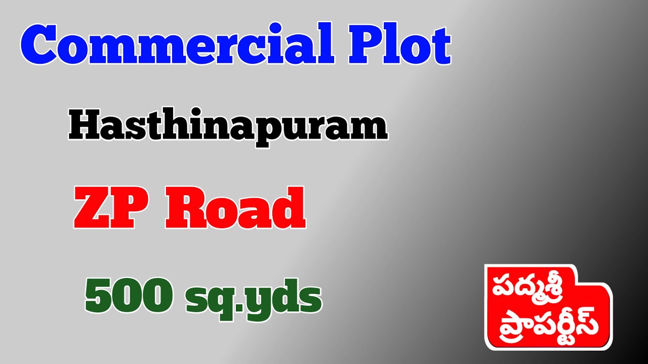 500 sq.yds Commercial Plot for sale in Hasthinapuram ZP road
