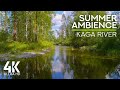 Relaxing Summer Ambience of a Forest River - 4K Peaceful View &amp; Gentle Sounds of Kaga River Flow