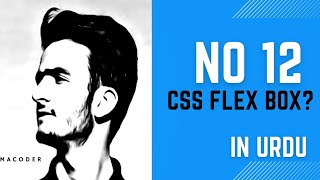 CSS flexbox || Don't Make This Silly Mistake With Your Css Flex Box