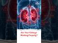 Are Your Kidneys Working Properly? - Dr. Chetan Veeramaneni