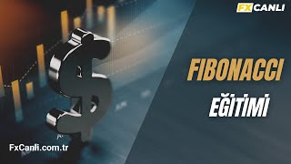 Forex Borsa Teknik Analiz Egitimi 12 Fibonacci