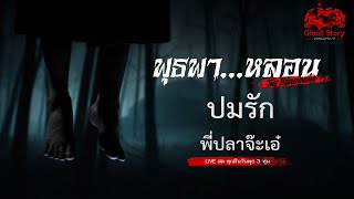 ปมรัก / พี่ปลาจ๊ะเอ๋