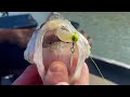 Fishing an underspin for big crappie