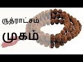 ருத்ராட்சம் முகம் - Siththarkal Manthiram- Sithar- sithargal-siddhar-sit...