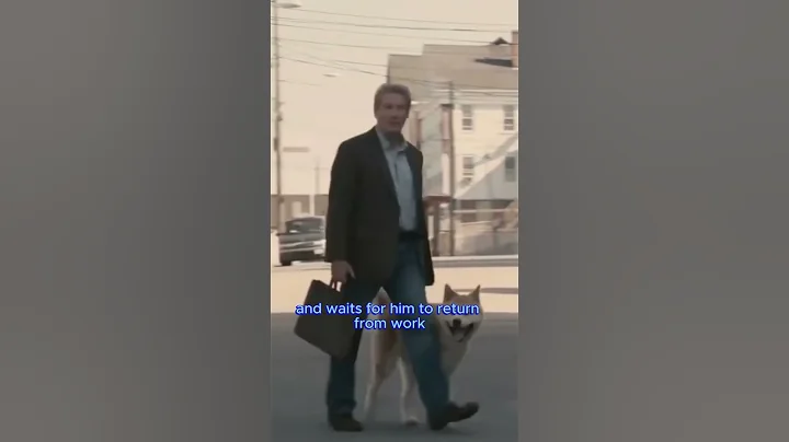 'Hachiko  A Tale of Unwavering Loyalty' #hachiko #truestory #loyalty