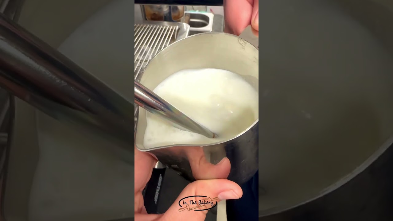 Hot Plain Latte! #satisfying #stepbystep #delicious #espresso #coffee #latteart #coffeelover