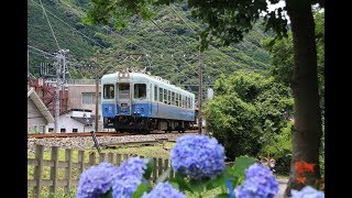 伊豆急行線 クモハ103引退記念特別運行最終日 2019年7月7日