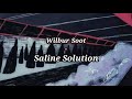 Wilbur Soot - Saline Solution // lyrics