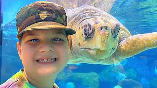 Caleb Goes to the Aquarium and Learns about Sea Animals, Sharks, Sea Turtles with School Friends!