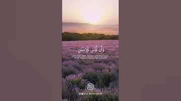 سورة النجم - الآية [39-41] - القارئ : أحمد النفيس