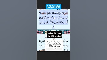 سورة القيامة الاية 36 - 40 فارس عباد