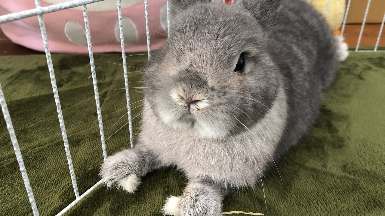 2026/2/27 MARU CHANNEL〜まるちゃんねる〜 がライブ配信中！