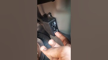 Thumbnail of roots windtone horn with Melody maker