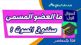 ما هو العضو المسمى بصندوق الصوت؟ اضف الى معلوماتك - بالمختصر المفيد