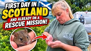 Day 1 in Scotland: Straight Into a Rescue Mission 🚨