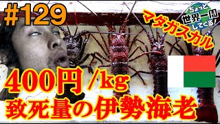#129【スペシャル自炊回】400円/kgというありえない値段の伊勢海老を飛行機に乗って食べに行った（フォートドーファン / マダガスカル③）世界一周
