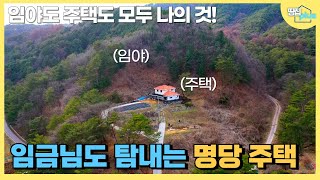 반자연인 최상의 입지와 잘지은 주택 반할 수 밖에 없습니다. 만4천여평의 임야로 임업인 등록 I 산을 품은 프라이빗 전원주택