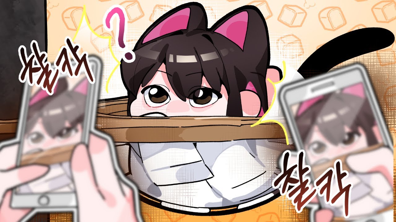 금사향은 고양이인가?