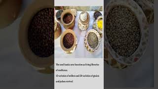 “From Subsistence to Sovereignty 🌾✨ | Odisha’s Millet Revival Story” #agroecology #education #millet