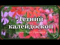 &quot;ЛЕТНИЙ КАЛЕЙДОСКОП&quot; - музыка Павел Ружицкий