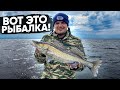 ВОТ ЭТО РЫБАЛКА! БЕШЕНЫЙ КЛЕВ! WOW Fishing. |ENG SUBs|