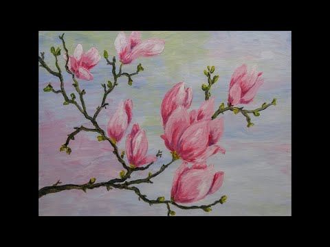 Wideo: Jak Kwitną Magnolie