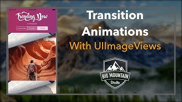 UX: Easily Implement Transition Animations on Images (iOS, Xcode 8, Swift 3)