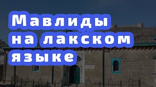 Мавлиды на лакском языке / Ислам в Лакии