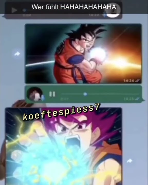 Dragonball WhatsApp Audio