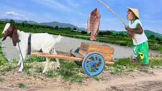 Cutis take goat go fishing! Difficult journey is fraught with many troubles