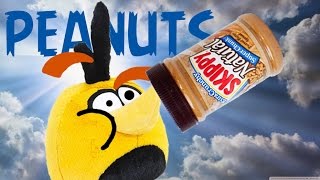Bubble's Peanut Allergy
