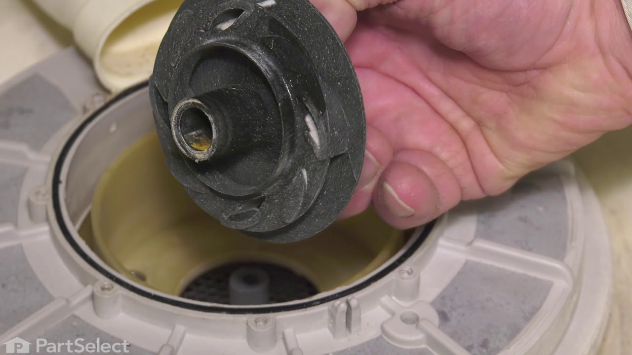 Whirlpool Dishwasher Repair How to Replace the Check Ball (Whirlpool