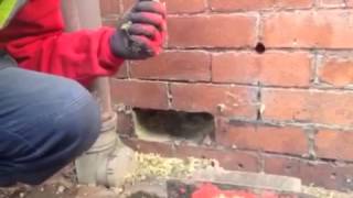 Cavity wall extraction - Reneco.co.uk