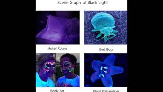Escolite Flashlight Ultraviolet Blacklight Detector