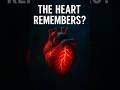 Can The Heart Store Memories