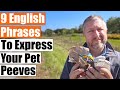 Learn 9 English Phrases to Express Pet Peeves and Annoying Things