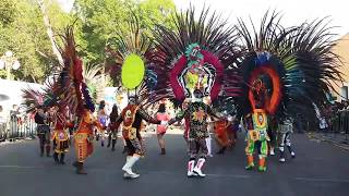 Carnaval Tlaxcala 2019  camada  San Dionisio Centro Yauhquemehcan